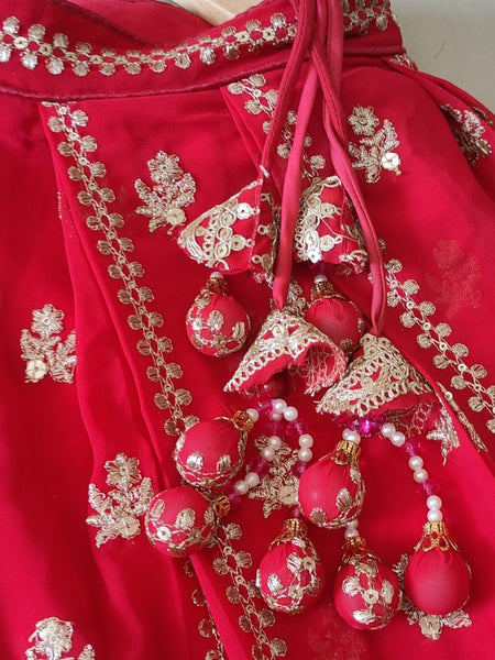 Red Wedding & Party Wear Designer Sequence Embroidery Work Georgette Lehenga Choli